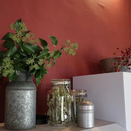 μικρή ζήρεια ενοικιαζόμενη 4* Synikia Mesi Trikalon