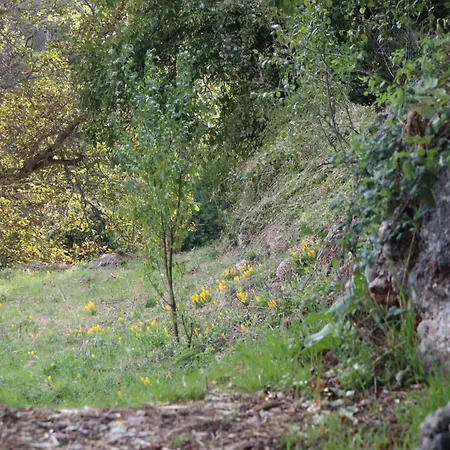 Vendégház μικρή ζήρεια ενοικιαζόμενη 4*