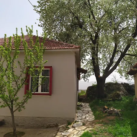 μικρή ζήρεια ενοικιαζόμενη 4*