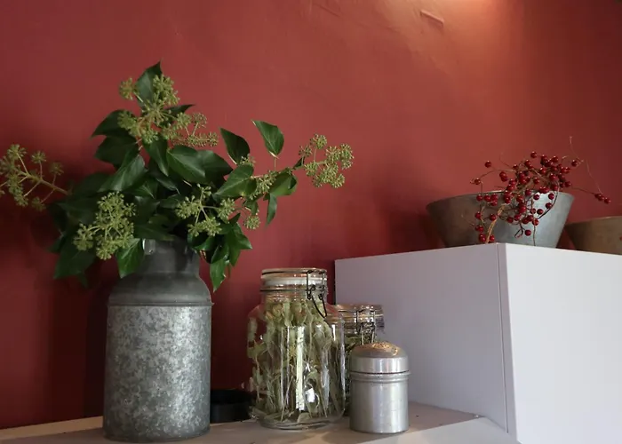 μικρή ζήρεια ενοικιαζόμενη 4* Synikia Mesi Trikalon