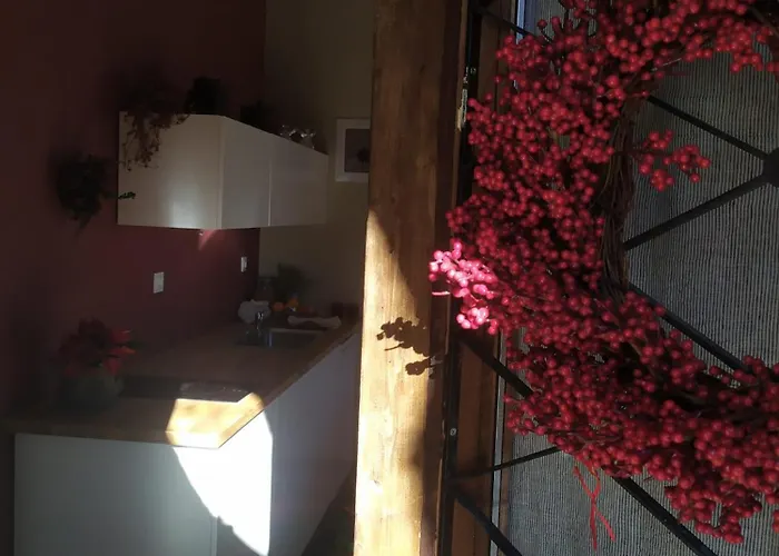 μικρή ζήρεια ενοικιαζόμενη Synikia Mesi Trikalon