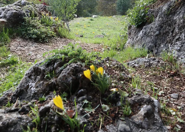 Penzion μικρή ζήρεια ενοικιαζόμενη 4*
