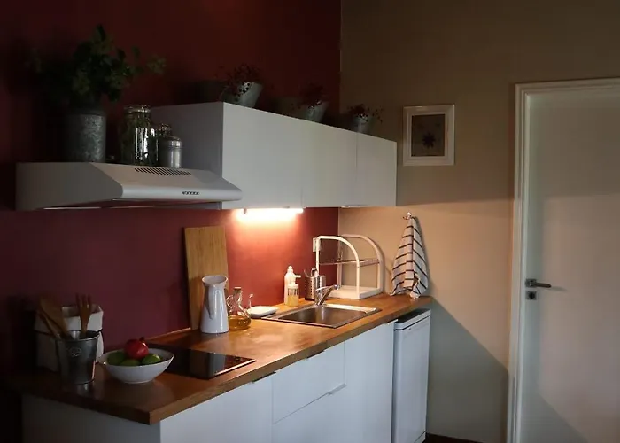 μικρή ζήρεια ενοικιαζόμενη Penzion Synikia Mesi Trikalon