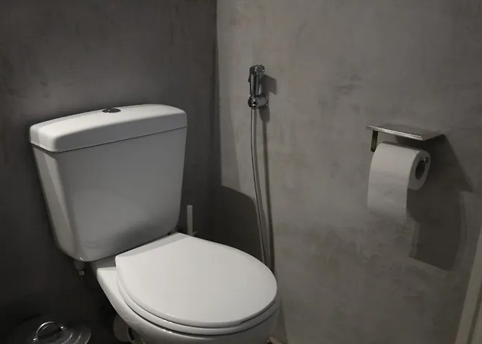 μικρή ζήρεια ενοικιαζόμενη Synikia Mesi Trikalon