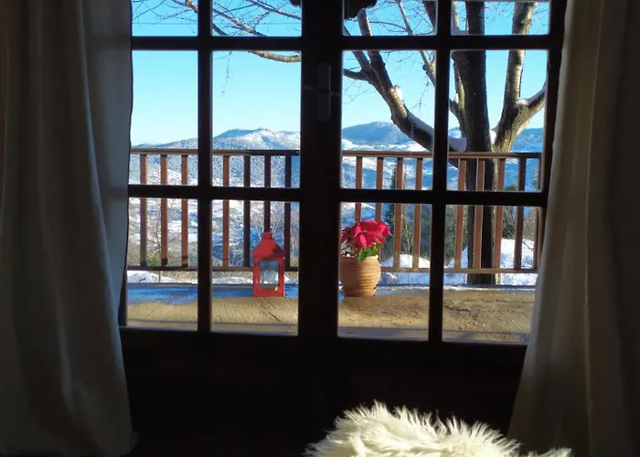 μικρή ζήρεια ενοικιαζόμενη Penzion Synikia Mesi Trikalon